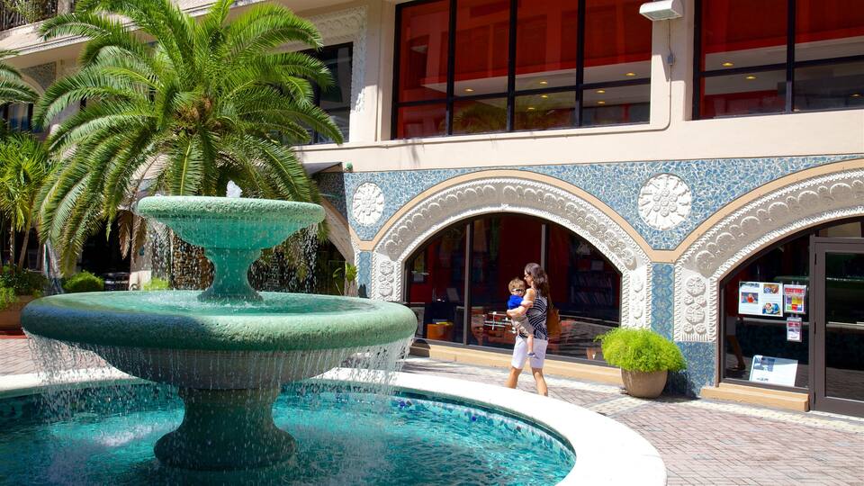 Coconut Grove showing a fountain