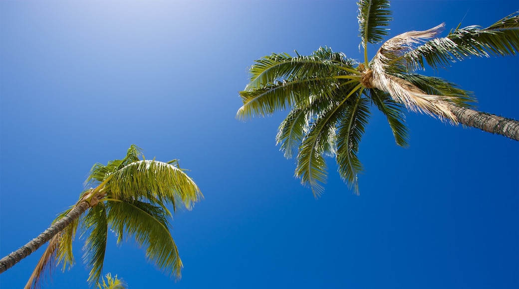 South Beach showing general coastal views