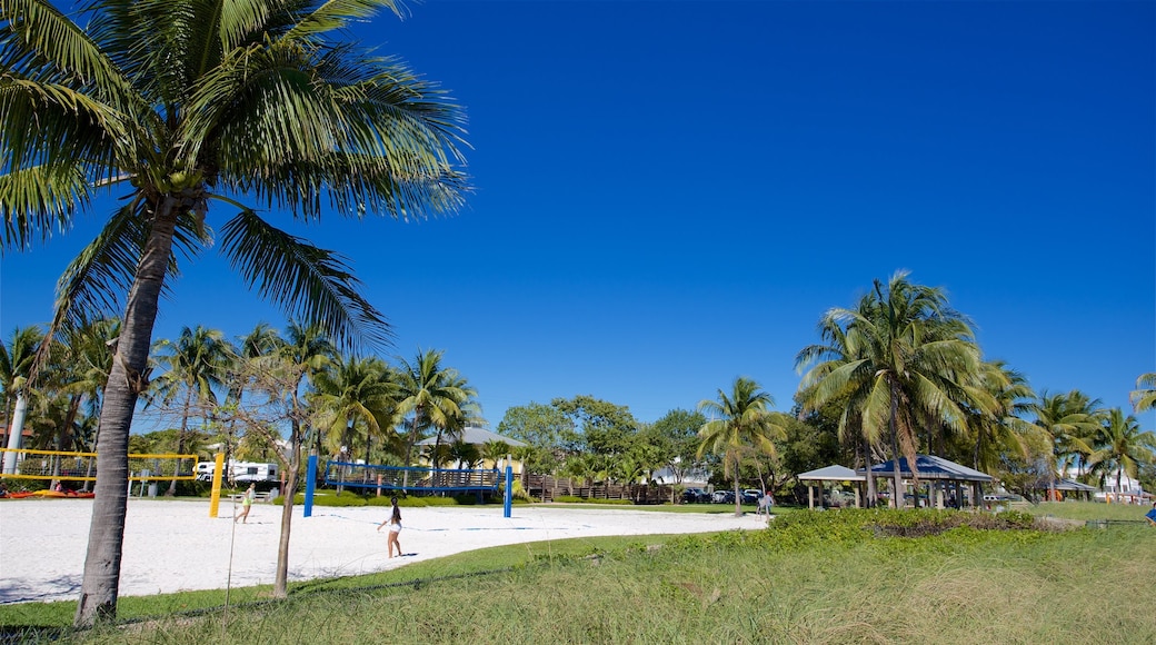 Sombrero Beach das einen Sandstrand und allgemeine Küstenansicht