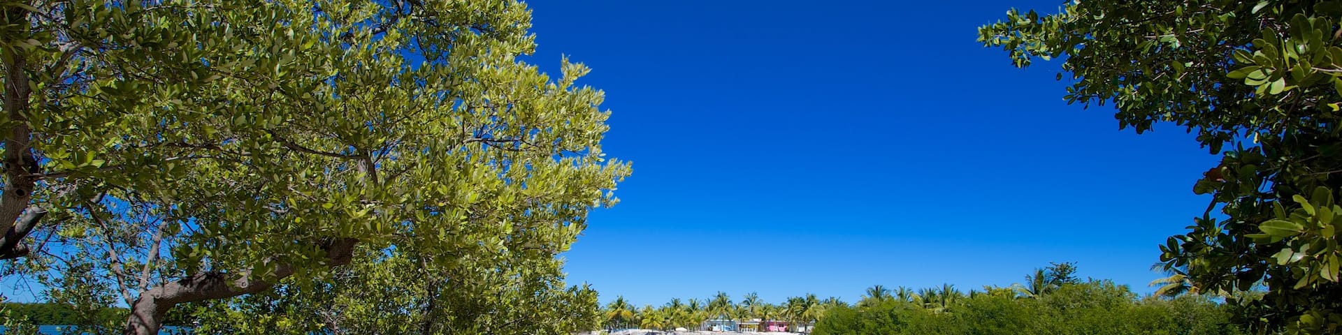 Curry Hammock State Park featuring a beach and a bay or harbour