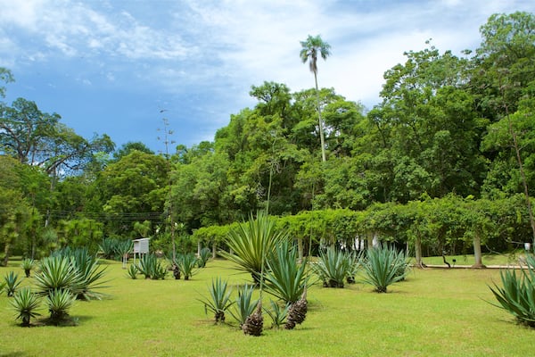 Jardim Botanico welches beinhaltet Garten