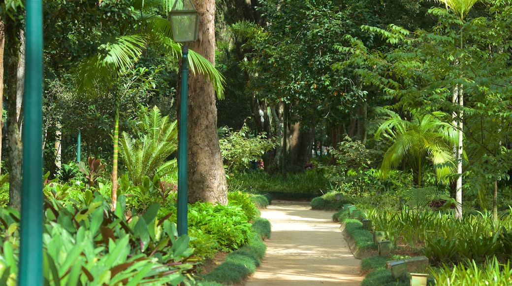 Museu Imperial caratteristiche di giardino