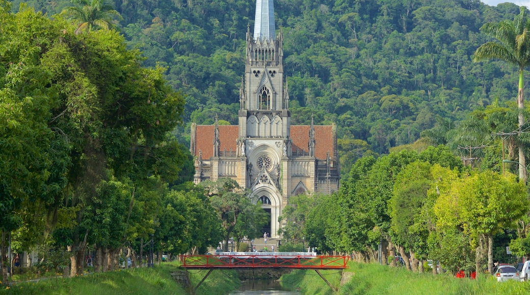 Catedral de São Pedro de Alcântara caracterizando uma ponte, um jardim e arquitetura de patrimônio