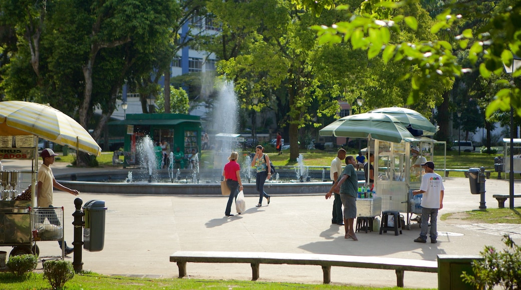 Petrópolis mostrando um parque e uma fonte