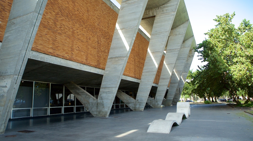 Museo de Arte Moderno ofreciendo imágenes de calles