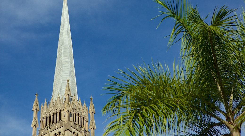 Catedral de San Pedro de Alcántara que incluye elementos patrimoniales y escenas tropicales