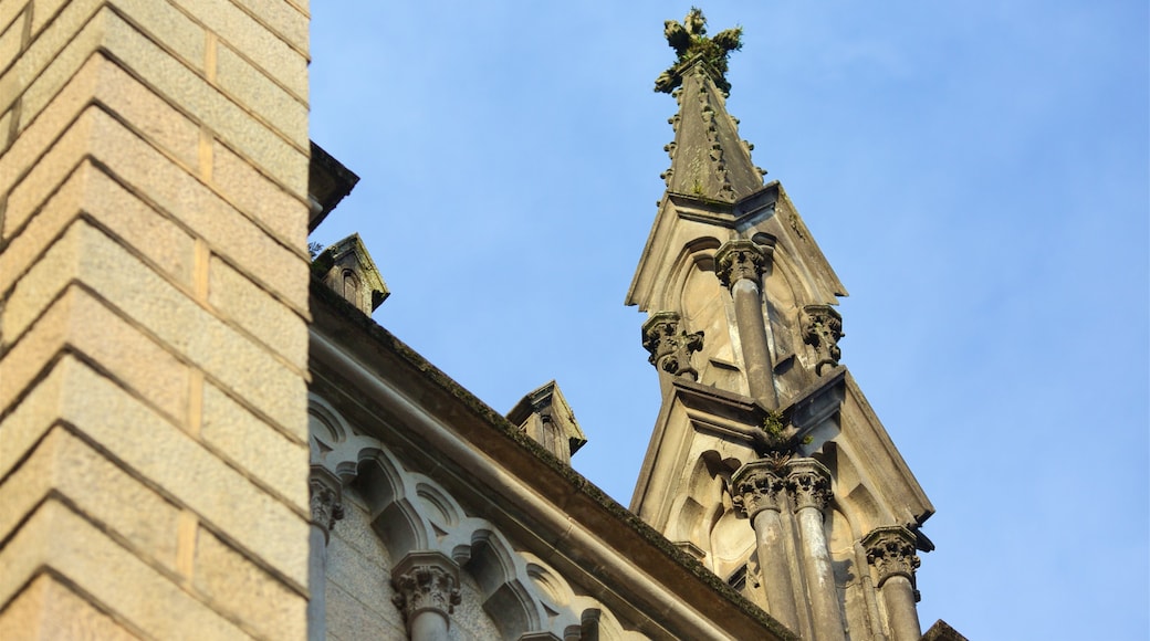 Catedral de San Pedro de Alcántara que incluye elementos patrimoniales