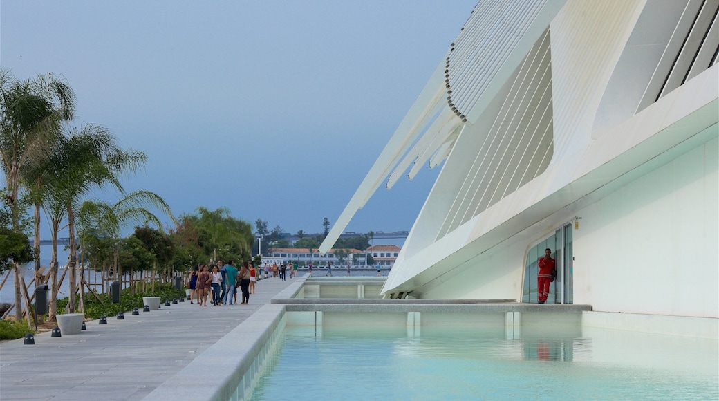 Rio de Janeiro som visar modern arkitektur och en damm