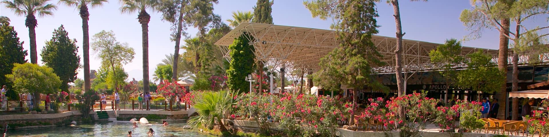 Hierapolis featuring a pool and a hot spring as well as a small group of people