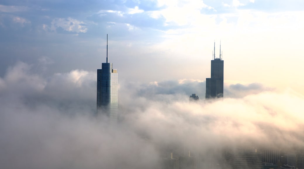 Willis Tower featuring a high-rise building, mist or fog and a city