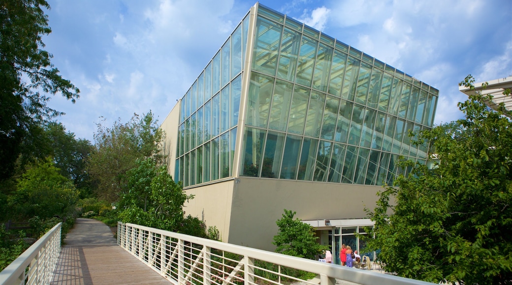 Lakeview