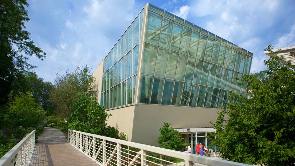 Lakeview featuring modern architecture