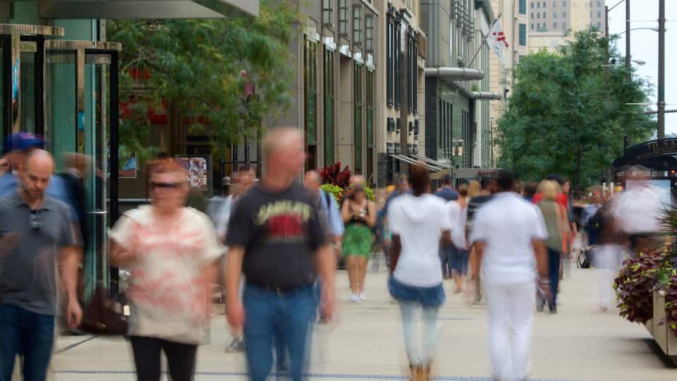 Magnificent Mile - River North caratteristiche di strade cosi come un grande gruppo di persone