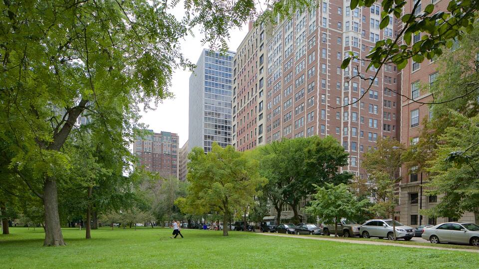 Lincoln Park showing a city and a park