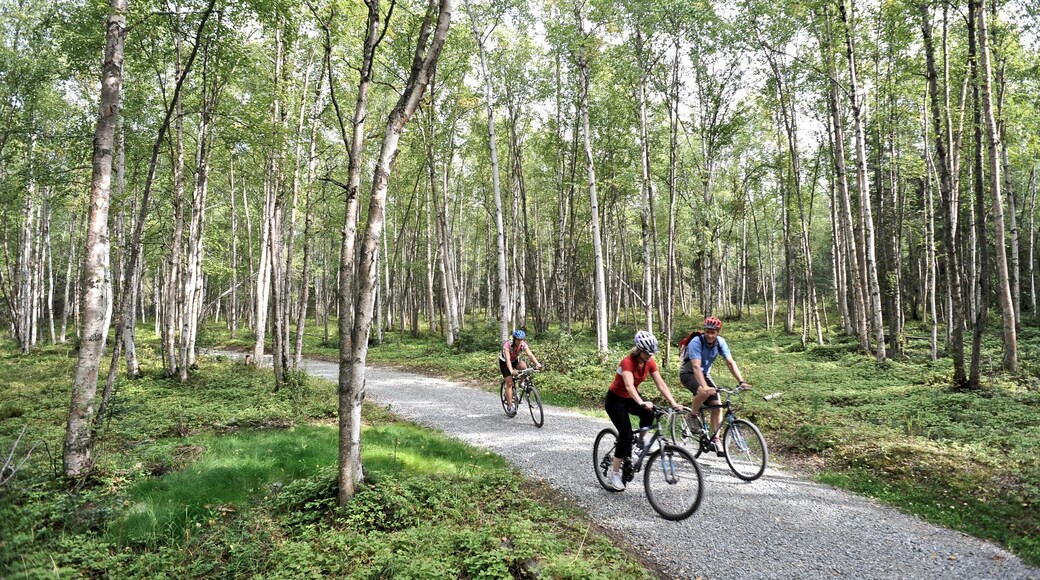 ์ฌ์ง ์ ๊ณต: State of Alaska/Matt Hage