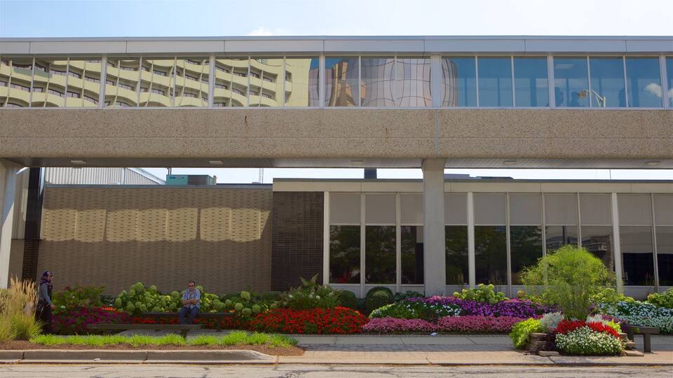 Rosemont som inkluderer gatescener