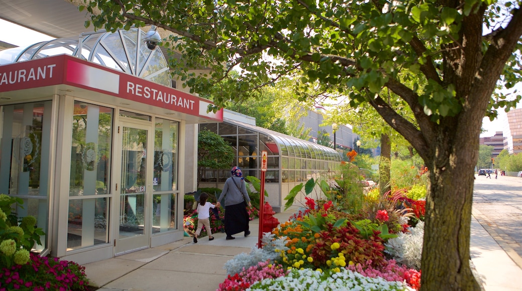 Rosemont showing street scenes and flowers as well as a small group of people