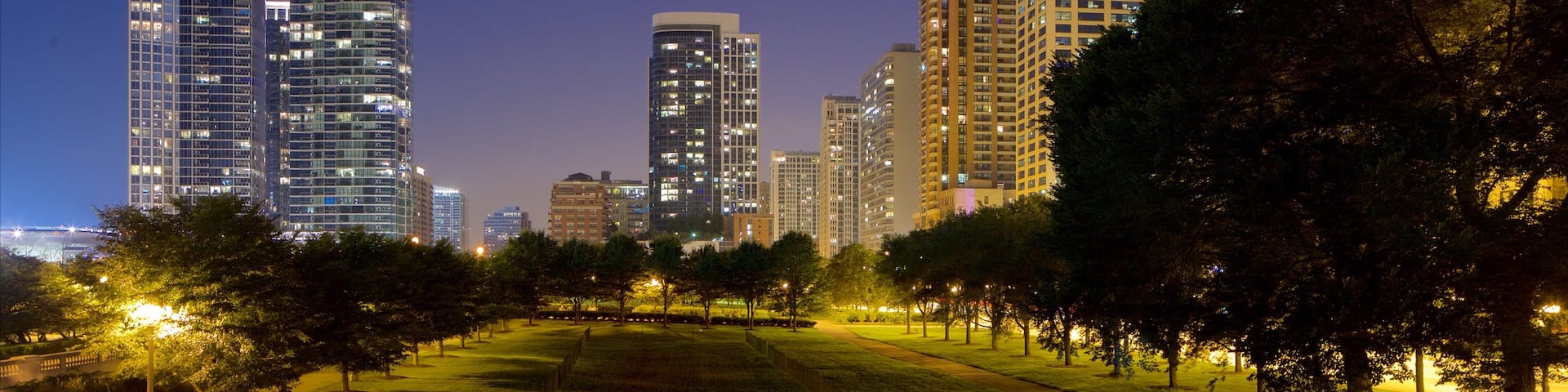 Grant Park showing a garden and night scenes