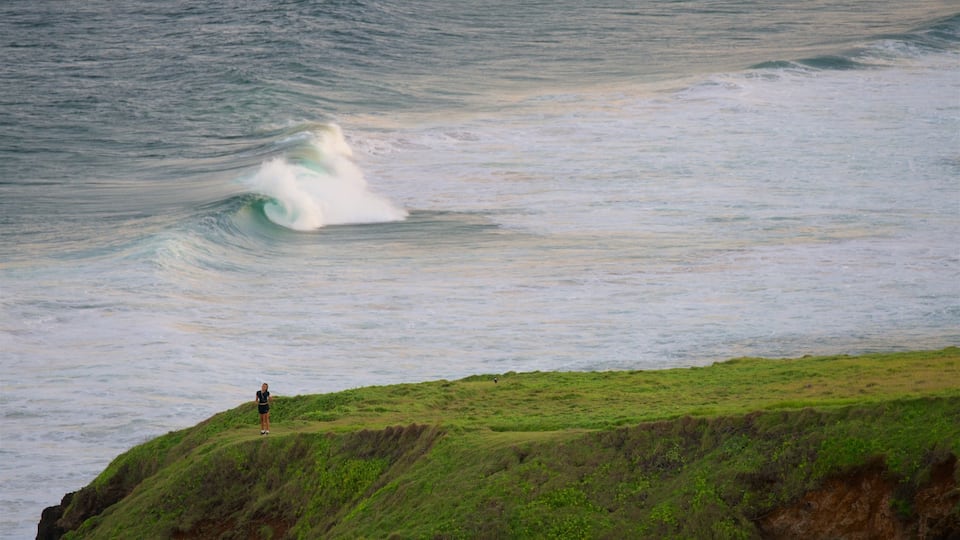 Lennox Head que incluye costa rocosa, una bahía o un puerto y olas
