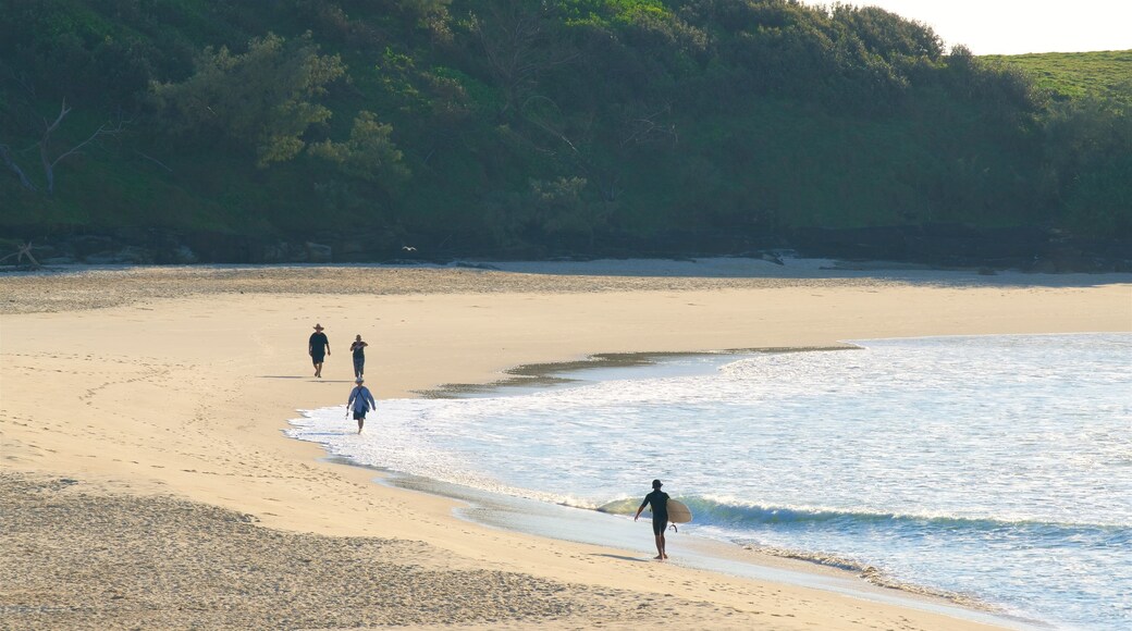 Pippi Beach qui includes plage