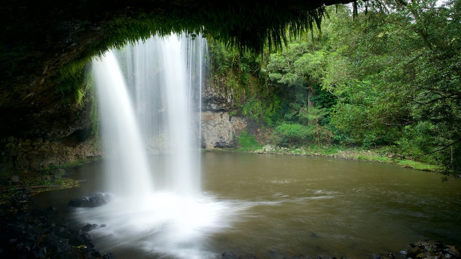 Byron Bay mostrando una cascada