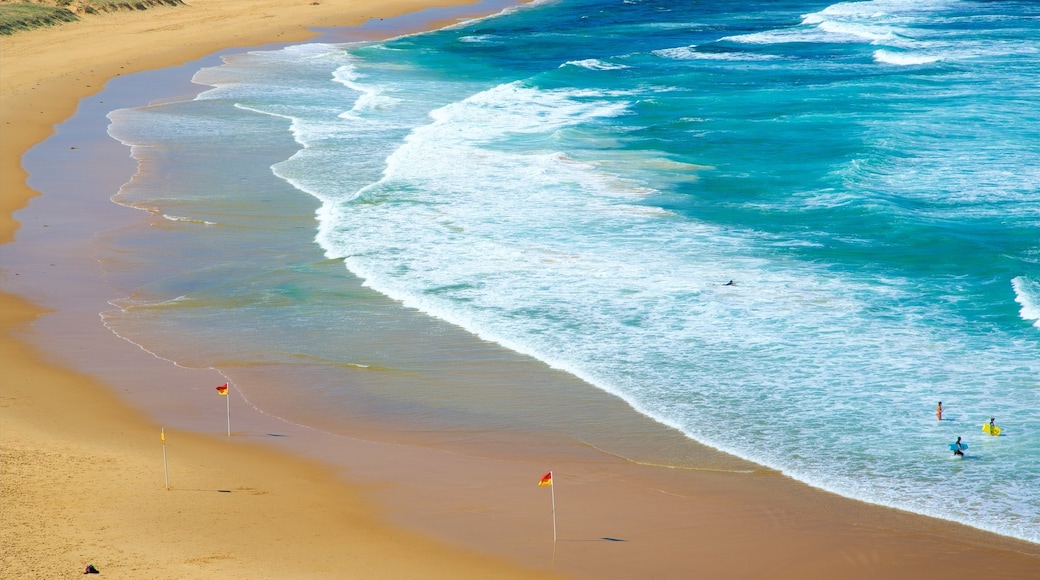 Playa de Nobbys Head que incluye una bahía o un puerto, una playa de arena y surf