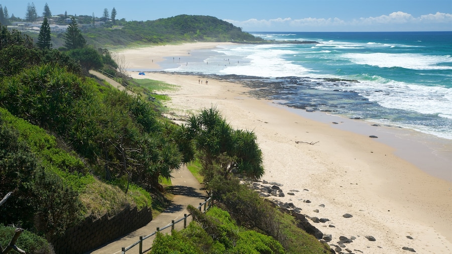 Shelly Beach showing a beach