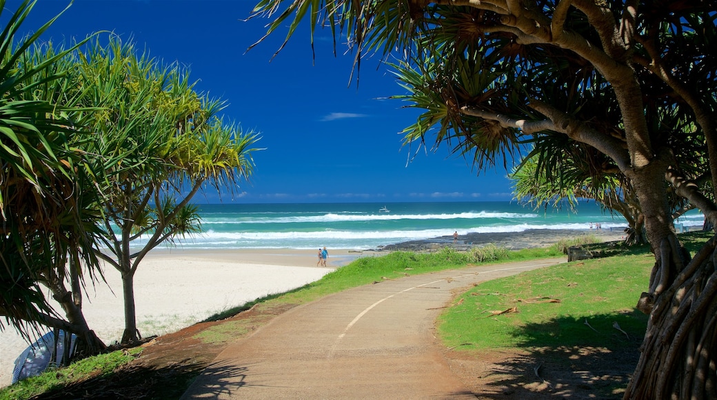 Shelly Beach som viser sandstrand