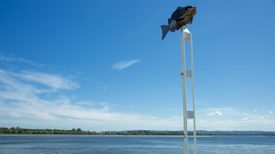 Ballina showing a bay or harbour and outdoor art