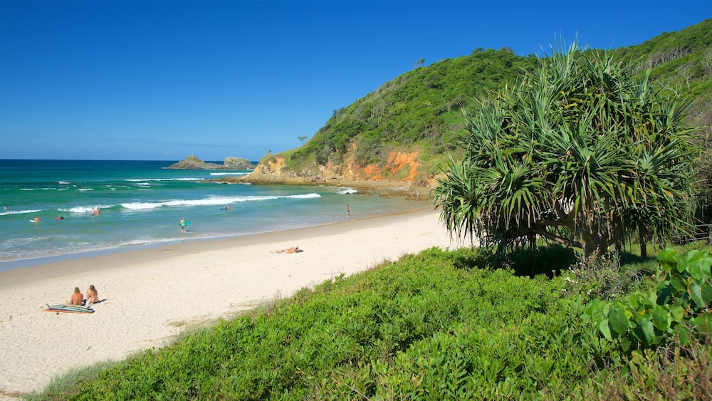 Broken Head showing a bay or harbour, surf and rugged coastline