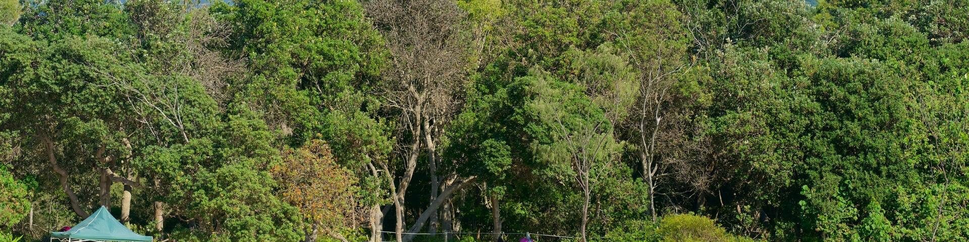 Byron Bay featuring a lake or waterhole as well as a large group of people