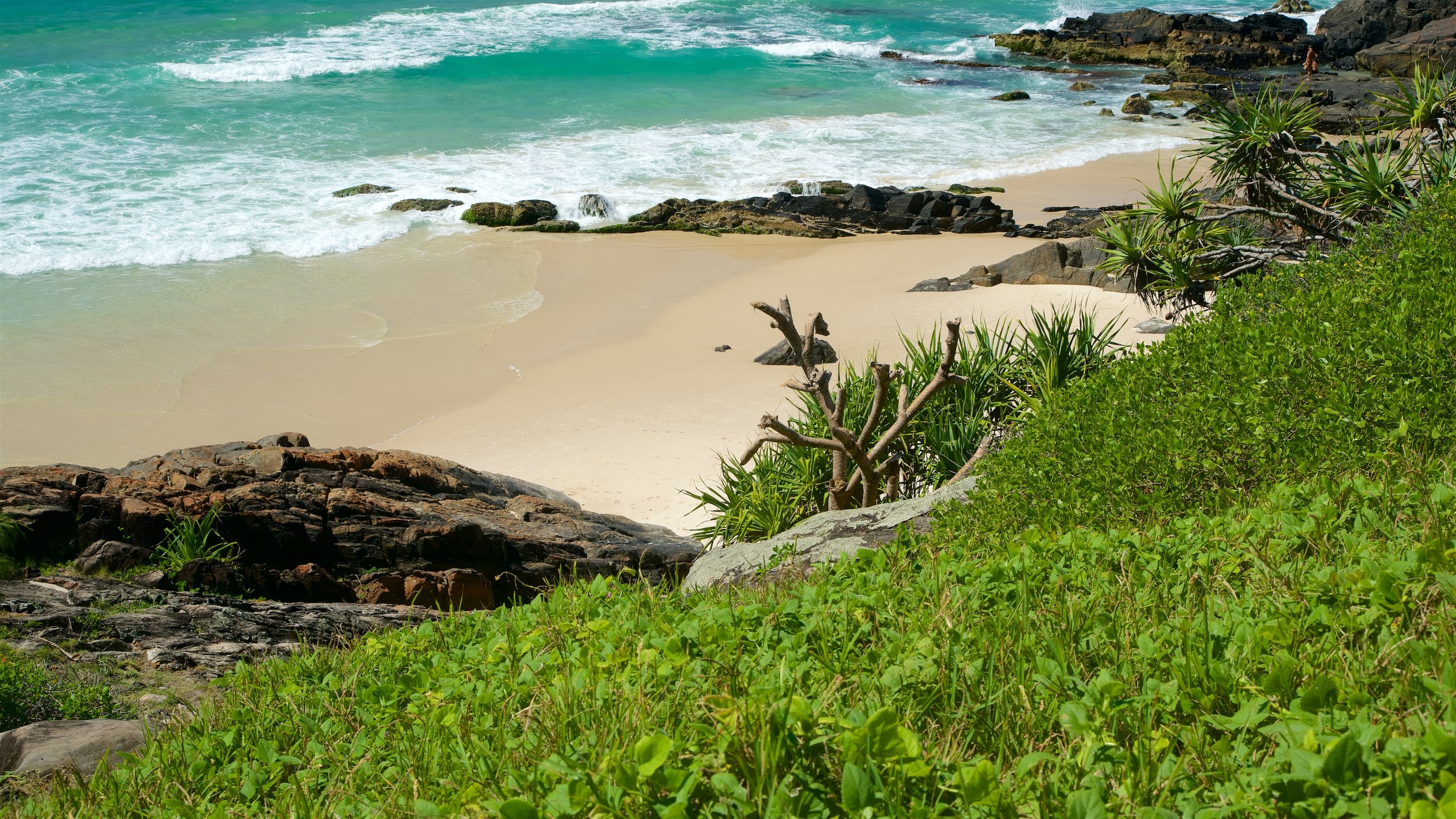 Tweed Heads featuring a beach