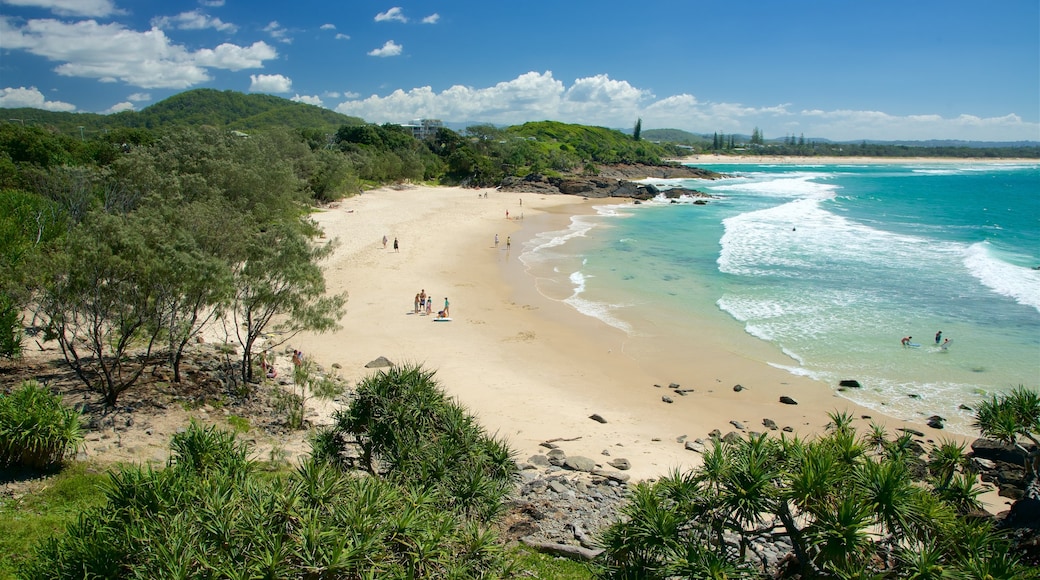 Tweed Heads which includes a beach