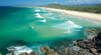 Cabarita Beach som visar en sandstrand