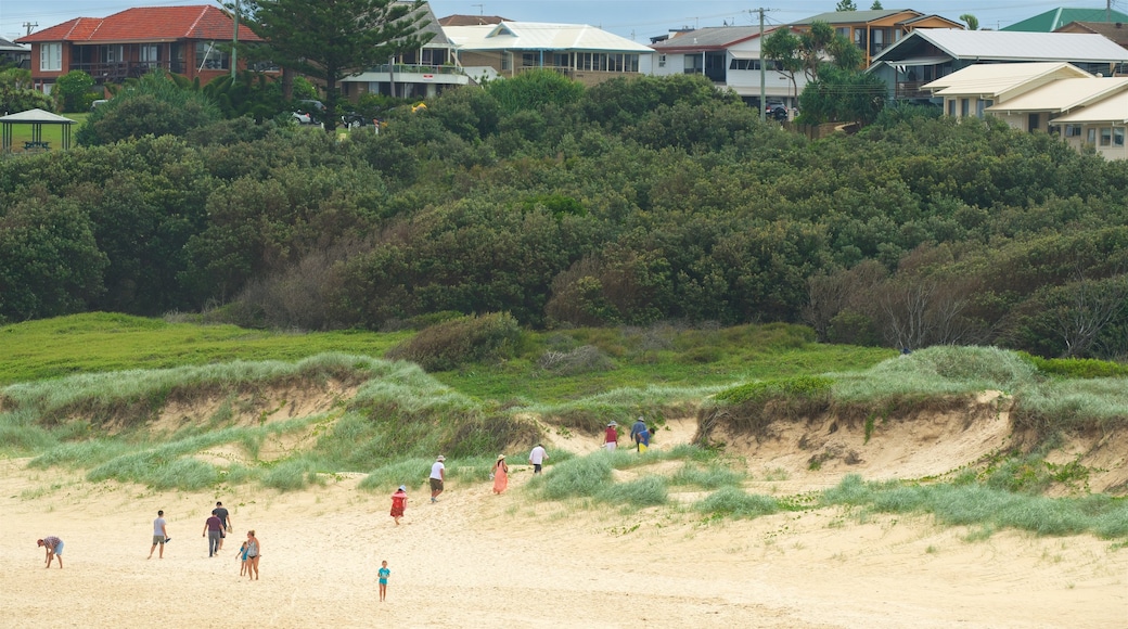 Pippi Beach showing a beach