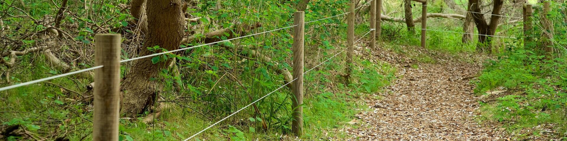 South Head Park featuring a garden