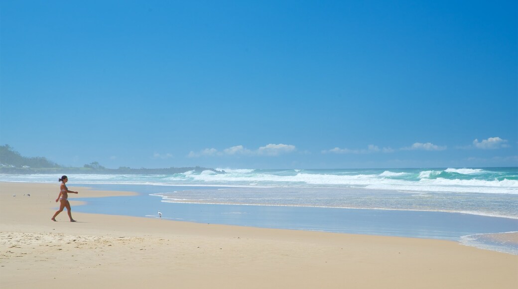 Shelly Beach featuring a sandy beach as well as an individual female