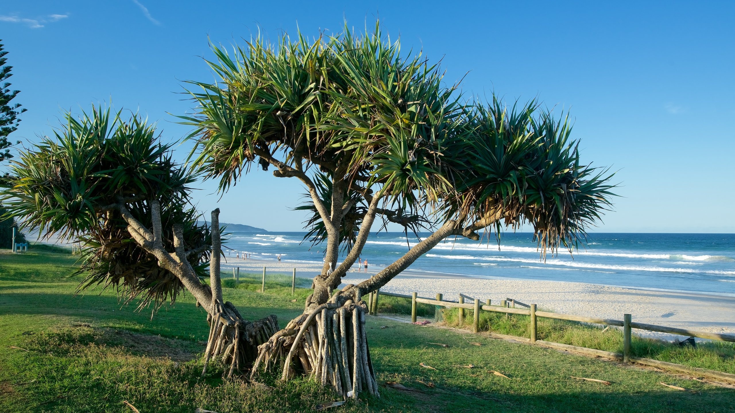 Lennox Head, NSW, AU holiday rentals houses & more Vrbo