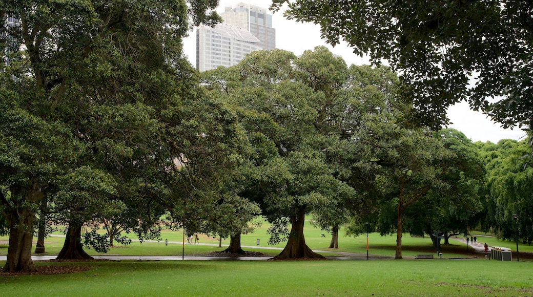 Galería de arte de Nueva Gales del Sur ofreciendo un parque