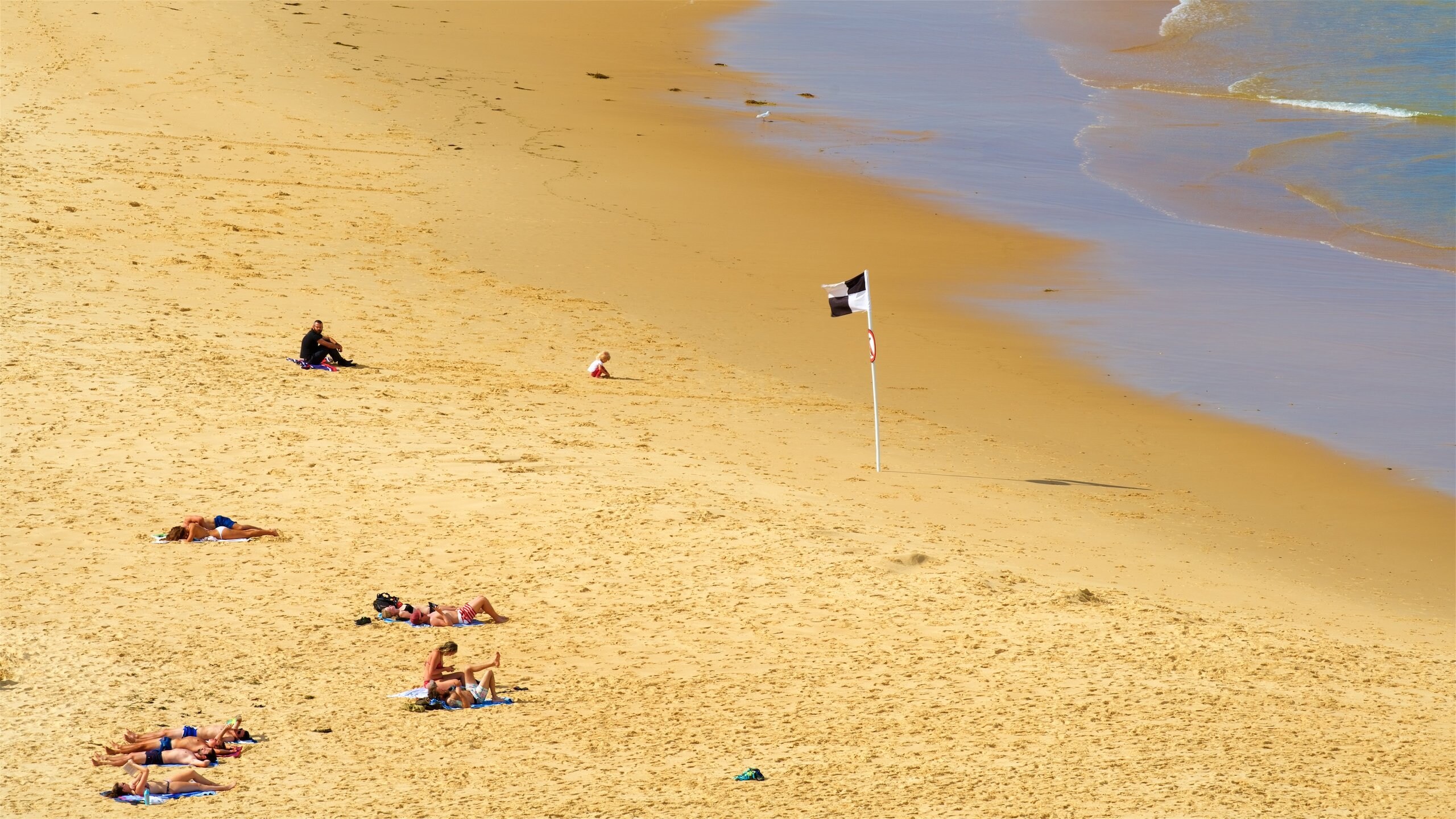 ノビーズ ヘッド ビーチ ニューサウスウェールズ州旅行 エクスペディア