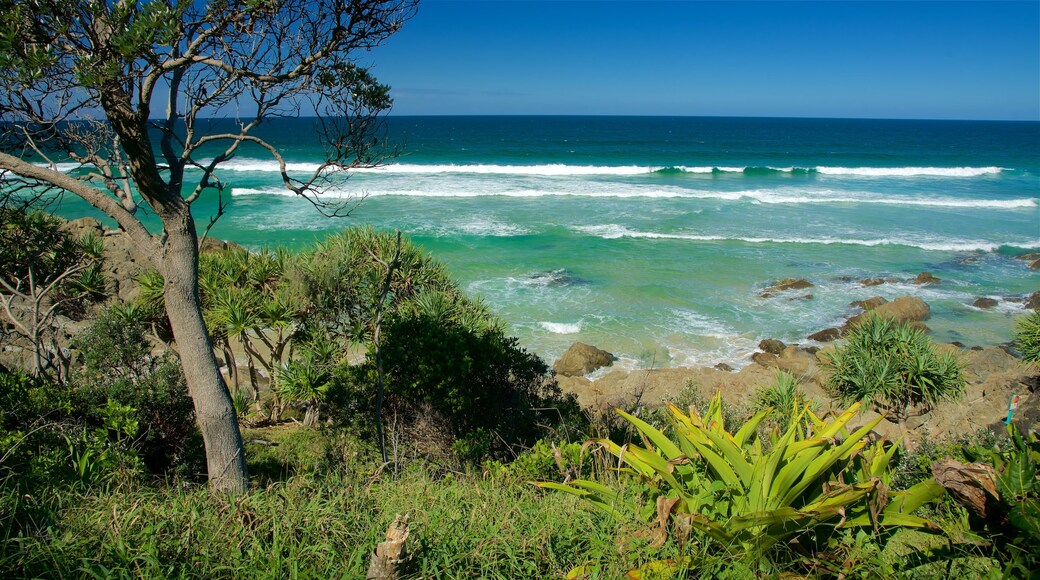 Kings Beach showing a beach