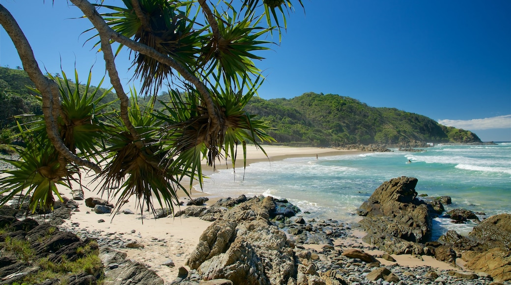 Kings Beach showing rocky coastline and a sandy beach