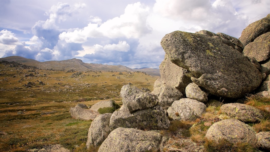 Làng Thredbo cho thấy khu vườn