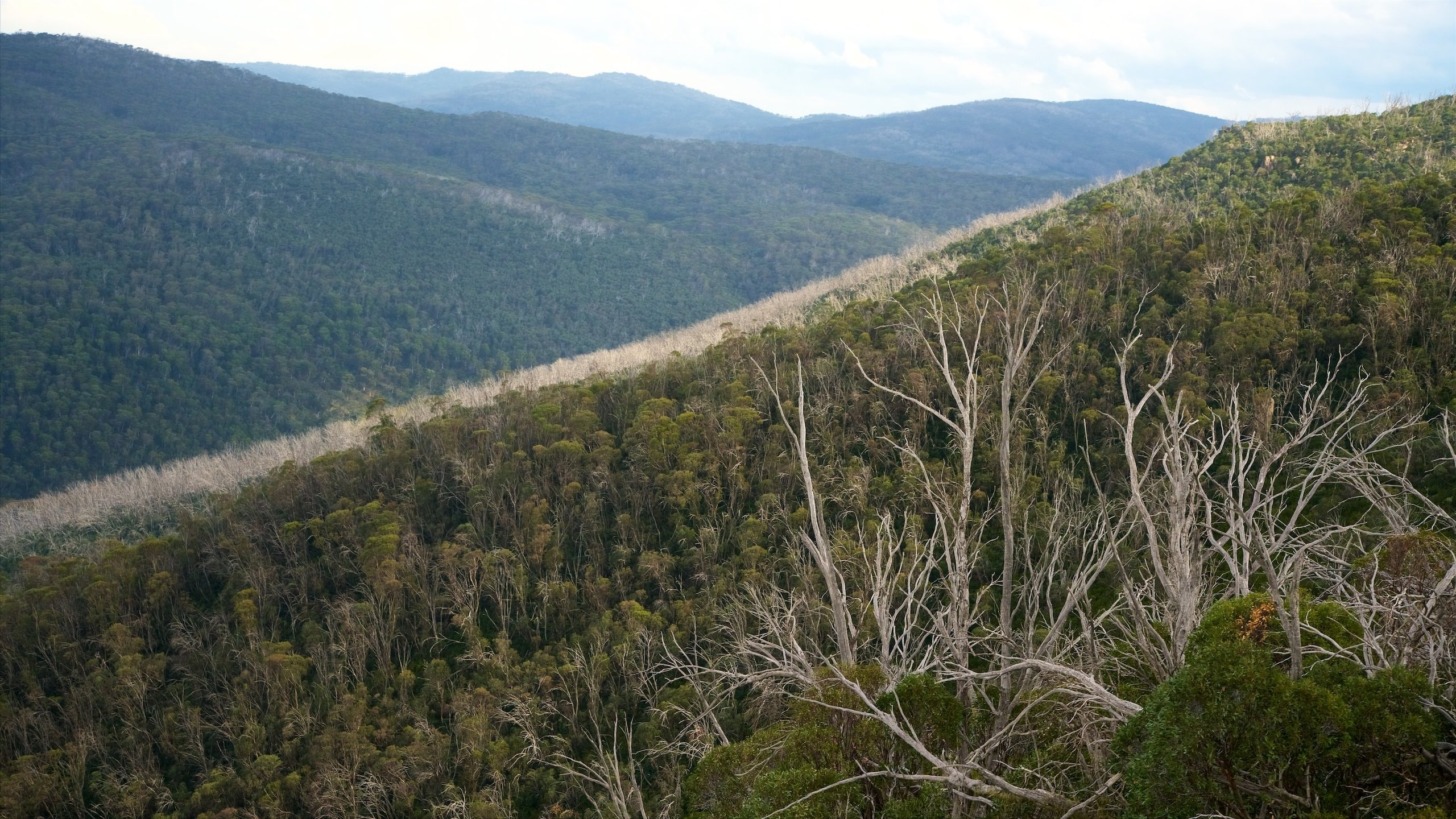 Thredbo which includes a park