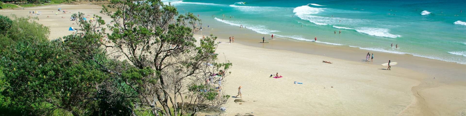 Wategos Beach showing a sandy beach