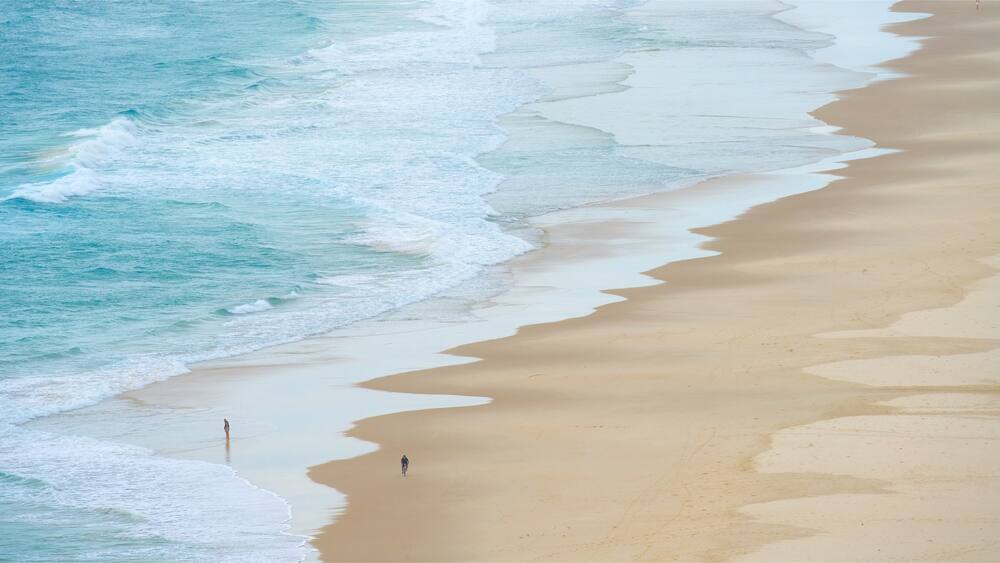 Tallow Beach showing a sandy beach