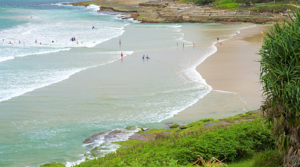 Yamba Beach showing a beach