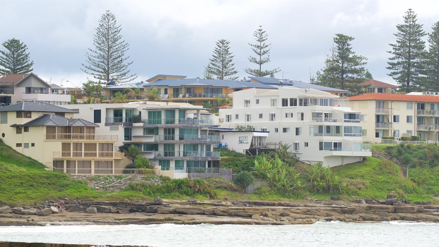 South Head Park showing a coastal town