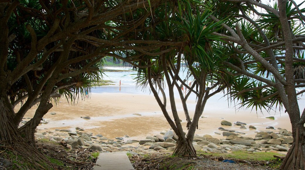 South Head Park showing a beach