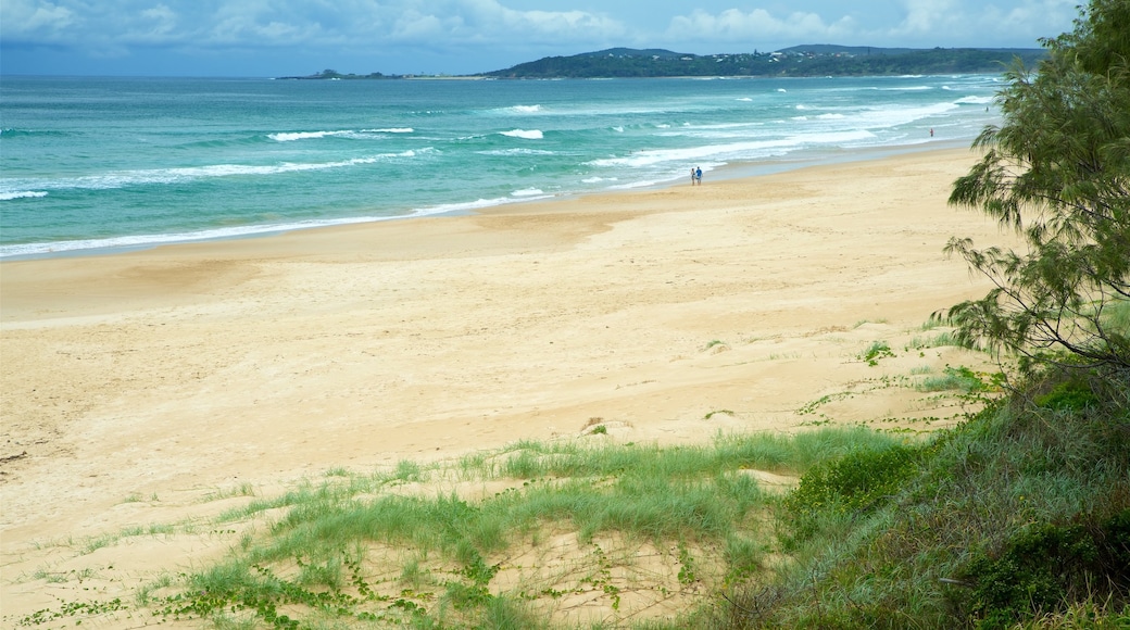 Pippi Beach caratteristiche di spiaggia sabbiosa